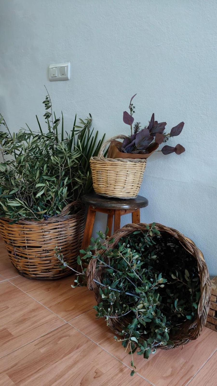 Las Lajas, Casa Rural Montejaque Buitenkant foto